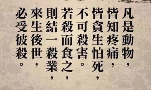 无意杀生也要受报应吗?