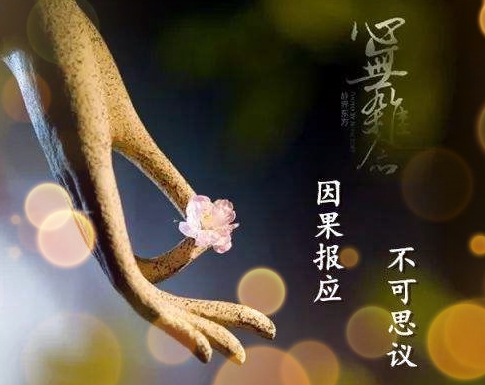 一位开火锅店女老板的忏悔