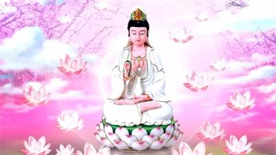 观世音菩萨成道日拜佛有感