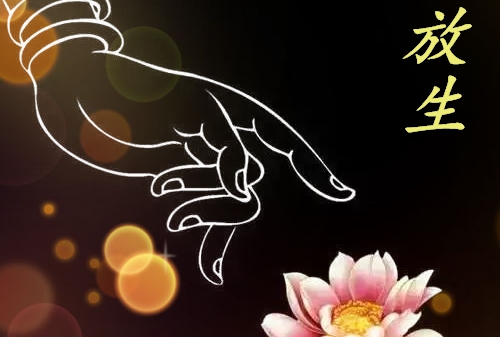 观世音菩萨圣诞日放生感悟：放生与慈悲并存