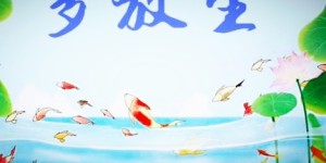 蛇跳舞，它的舞蹈太美了