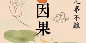 大蟒报恩