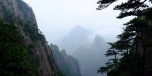 要迁转把持固定理念意识于行持，把“迁意修”落到实处
