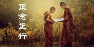 一本有关学佛的书，最关键是要以佛之教理教导众生如何修行