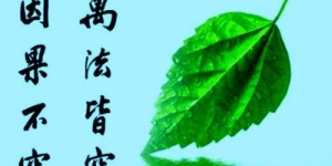 开烤鸡烤鸭店的现世报