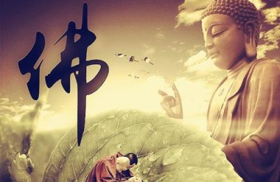 佛陀说法《什么叫修行》让我反思 