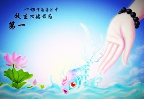 放生