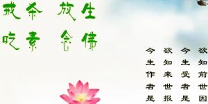 放生